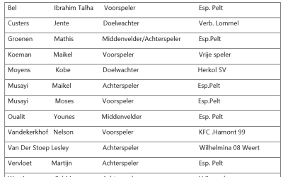 Inkomende transfers kern seizoen 2024/2025